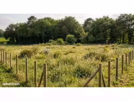terrain 550 m² portets