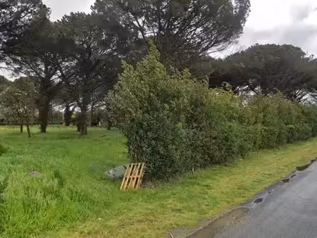 terrain 1 000 m² saint maixant