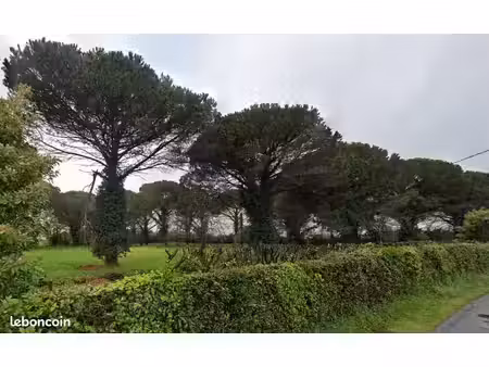 terrain 1 040 m² saint maixant