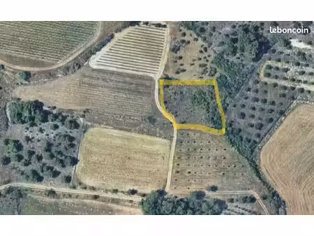 terrain agricole