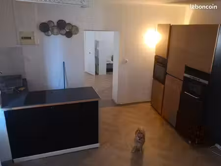 appartement t2 meublé dispo de suite