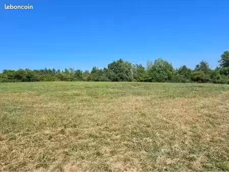 terrain agricole