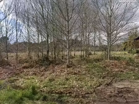 terrain à bâtir de 700 m² à hostens (33)