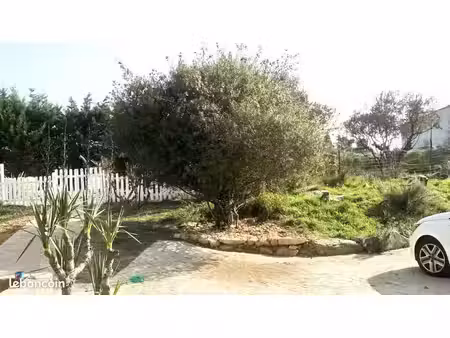 maison individuelle avec terrain