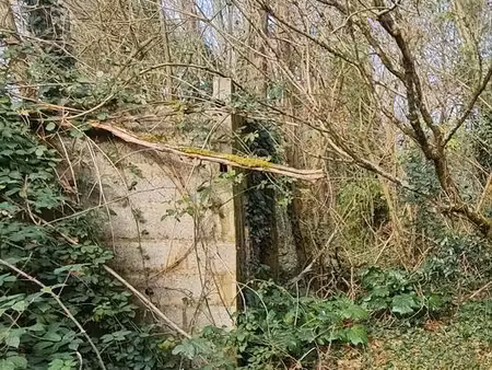 ancien jardin 560 m2 soit 8x70 mètres. ■uniquement pour loisir ou placement. ■petit cabano