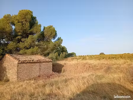 terre viticole agricole
