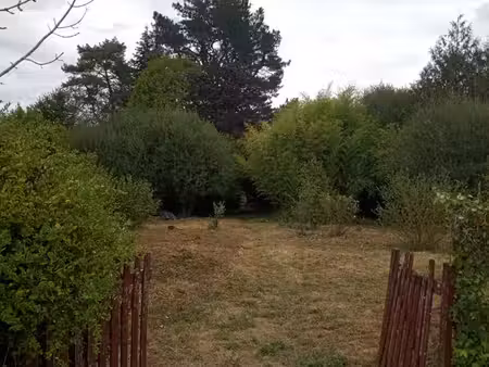 terrain boisé  viabilisé  avec permis de construire validé