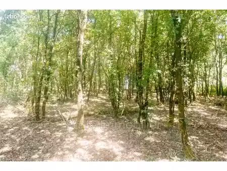 terrain 3665 m² talais