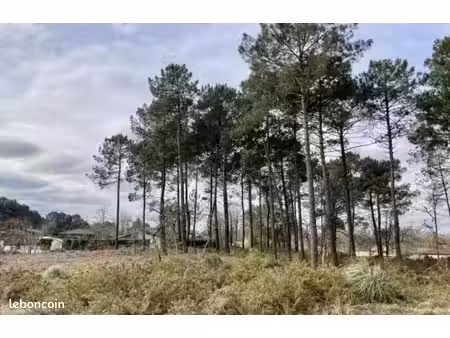 terrain à bâtir de 600 m² à brach (33)