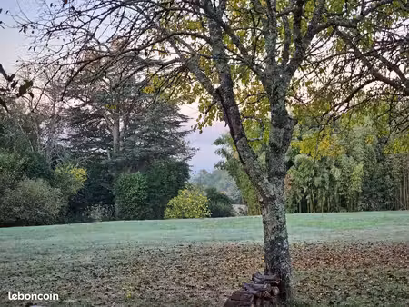 terrain à bâtir de 540 m² à loupes (33)