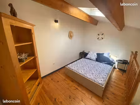 studio 200m des plages à le grau du roi
