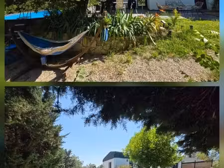 maison moderne avec joli jardin