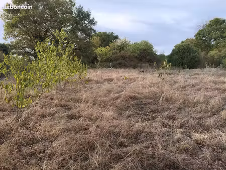 terrain de loisirs non constructible de 2 350 m² - roussines (36170)