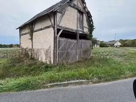 chai de vignes et 12000 m2 terrain