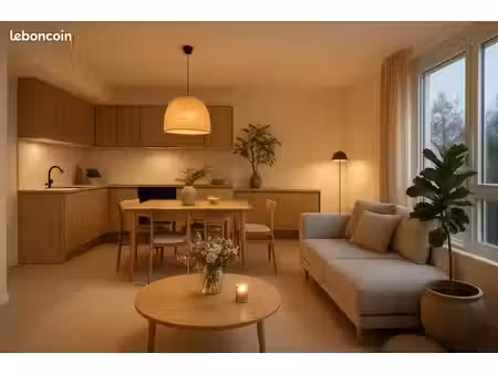 appartement 2 pièces 41 m²