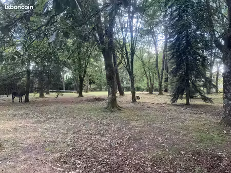 terrain à bâtir de 1300 m² à la brede (33)
