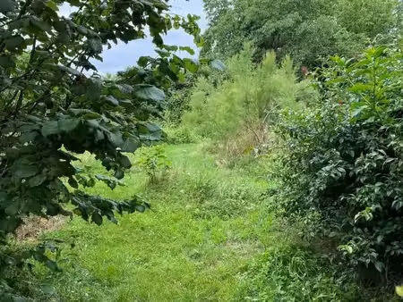 terrain 650 m² le teich