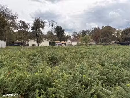 terrain 573 m² bas mauco
