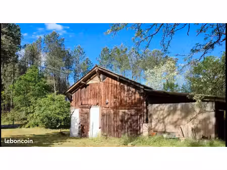 terrain constructible de 2550 m² à gourbera