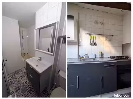 appartement meublé de 36 m² loi carrez (49 m² au sol)