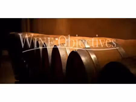 vignoble chablis (89)