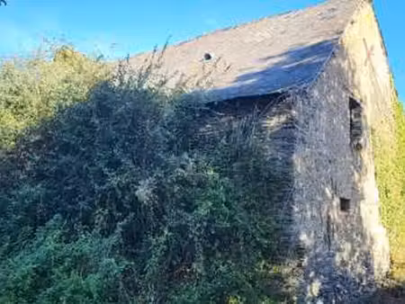 vente maison à grand-auverné (44520) : à vendre / 50m² grand-auverné