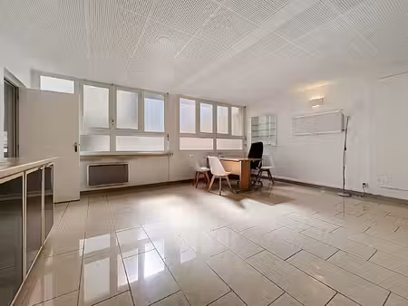 local professionnel paris 56 m2