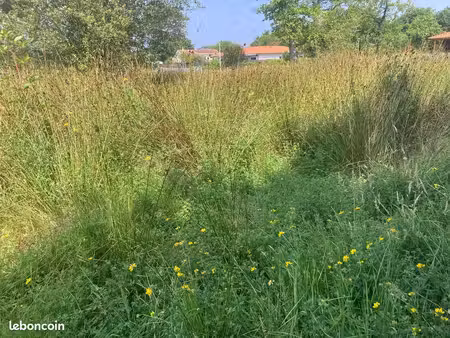 terrain à bâtir de 530 m² à biscarrosse (40)