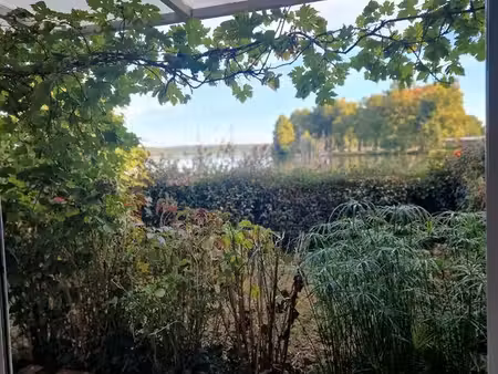 bord du lac