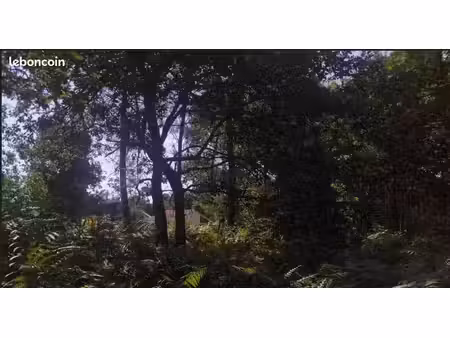 projet de construction d'une maison147m² avec terrain à brach (33)