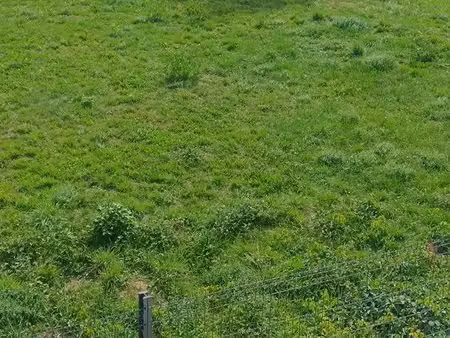 terrain a louer