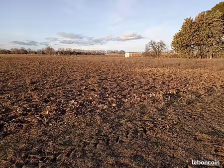 terrain agricole à louer mauguio