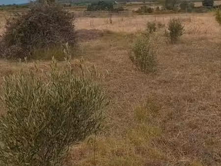 terrain agricole 2200m2 vendémian 34 230