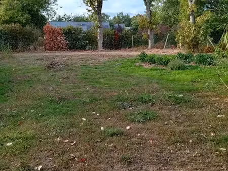 terrain constructible