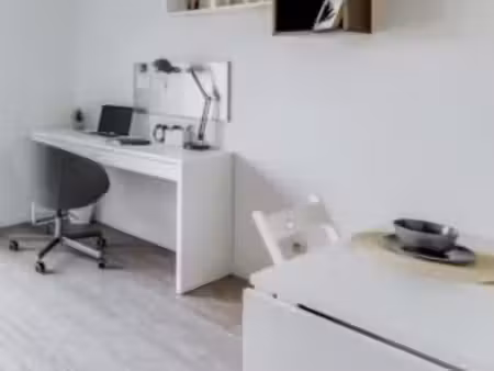 appartement 1 pièce 19 m²