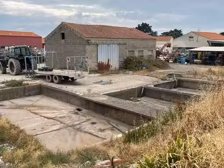 bâtiment ostréicole