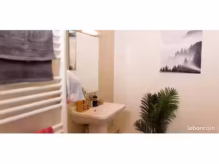 studio 1 pièce 19 m²