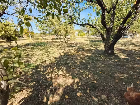 terrain constructible plat et arboré
