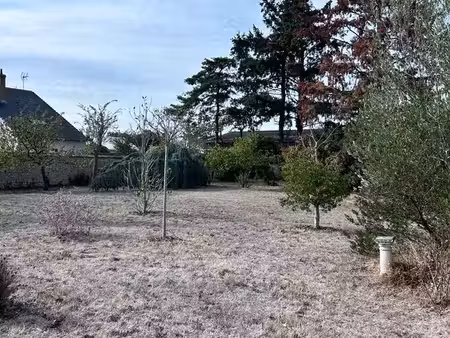 terrain constructible