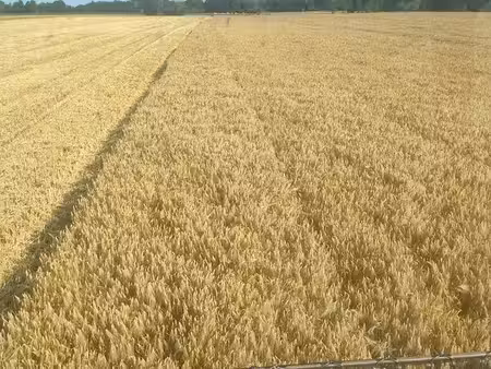 exploitation agricole