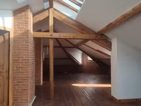 grand appartement de charme - centre ville