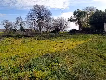 ? terrain constructible 1 792 m² - 36 euros / m² - 10 min de saumur