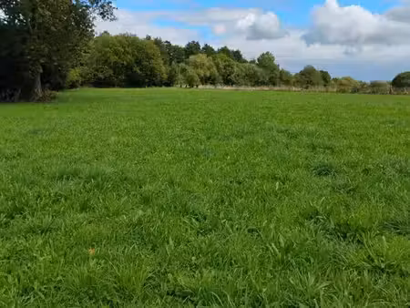 terrain 7717 m² cambernon