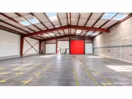 recherche local d’activité