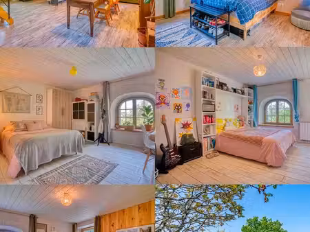 maison en pierre et gîte sur 6 hectares  villeréal