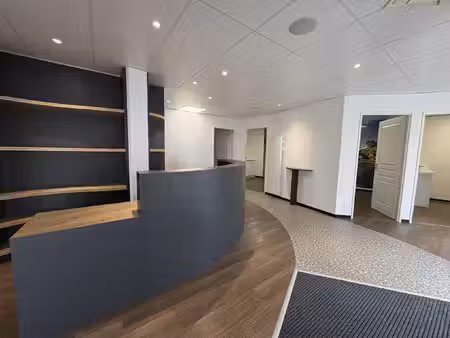 local professionnel 97 m2 environ