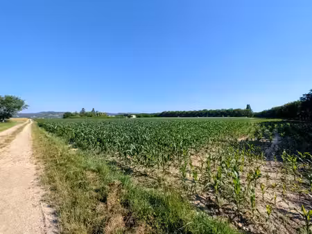 terrain agricole