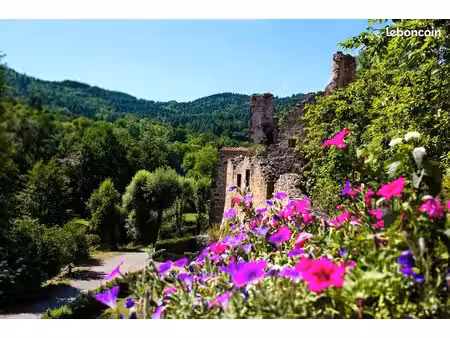 recherche de maison en haute loire