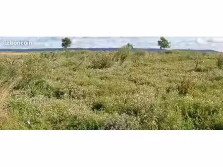 terrain à bâtir de 770 m² à conde-sur-marne (51)
