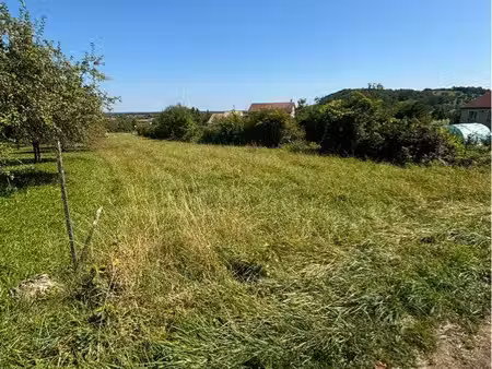 terrain agricole